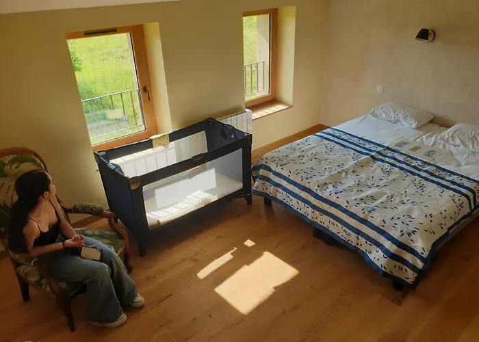 招待所 Les De La Ferme De Pérouges